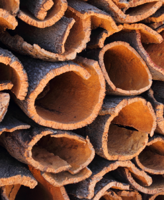 The Story Behind Cork