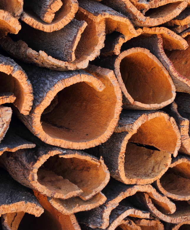 The Story Behind Cork