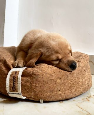 The Ultimate Guide to Meditation Cushion