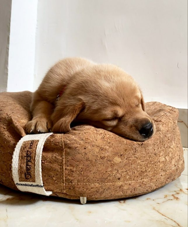 The Ultimate Guide to Meditation Cushion